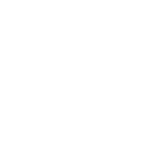 google icon